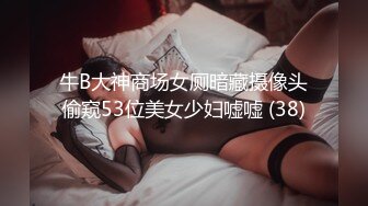 牛B大神商场女厕暗藏摄像头偷窥53位美女少妇嘘嘘 (38)