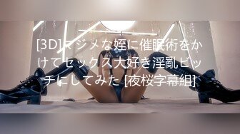 [3D]マジメな姪に催眠術をかけてセックス大好き淫亂ビッチにしてみた [夜桜字幕組]