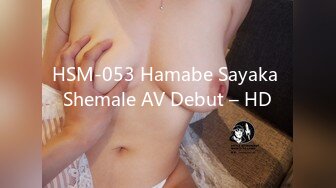 HSM-053 Hamabe Sayaka Shemale AV Debut – HD