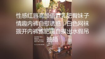 性感红唇高颜值巨乳肥臀妹子情趣内裤自慰诱惑，白色网袜拨开内裤露肥逼自摸出水假吊抽插