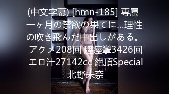 (中文字幕) [hmn-185] 専属 一ヶ月の禁欲の果てに…理性の吹き飛んだ中出しがある。 アクメ208回 膣痙攣3426回 エロ汁27142cc 絶頂Special 北野未奈