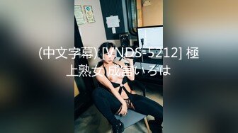 (中文字幕) [VNDS-5212] 極上熟女 成宮いろは