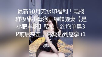 最新10月无水印福利！电报群极品小母狗，绿帽骚妻【是小肥羊呀】私拍，约炮单男3P前后夹击，高潮插到痉挛 (1)