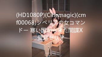 (HD1080P)(Cinemagic)(cmf00068)シベリアの女コマンドー 寒い国から来た間諜X 愛月セリア