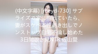 (中文字幕) [meyd-730] サプライズで家に隠れていたら、妻がスケベ本性剥き出しでノンストップ自宅不倫し始めた3日間覗き見NTR 佐山愛