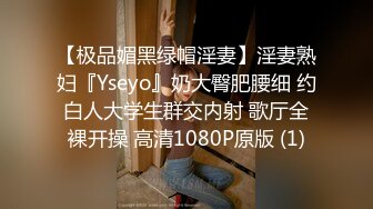 【极品媚黑绿帽淫妻】淫妻熟妇『Yseyo』奶大臀肥腰细 约白人大学生群交内射 歌厅全裸开操 高清1080P原版 (1)