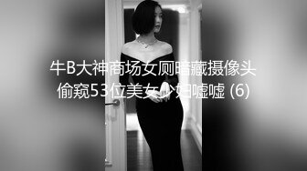 牛B大神商场女厕暗藏摄像头偷窥53位美女少妇嘘嘘 (6)